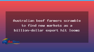 Australian beef farmers pivot to new markets as export value comes under pressure - australian beef farmers