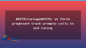 Calls to End Greyhound Racing Emerge After Perth Cannington Incident - calls end greyhound