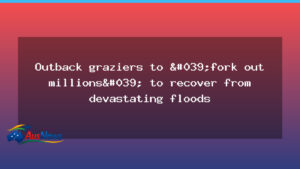 Outback graziers brace for millions in flood recovery costs - outback graziers brace