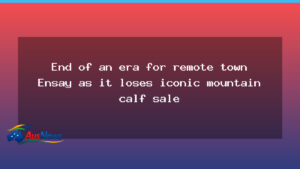 End of an era as Ensay’s mountain calf sale shifts to Bairnsdale - end era ensay