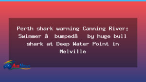 Perth shark warning issued after bull shark bump in Canning River - perth shark warning