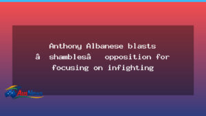 Albanese slams infighting as opposition chatter grows - albanese slams infighting