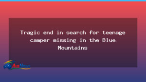 Search ends in tragedy for teenage camper in the Blue Mountains - search ends tragedy