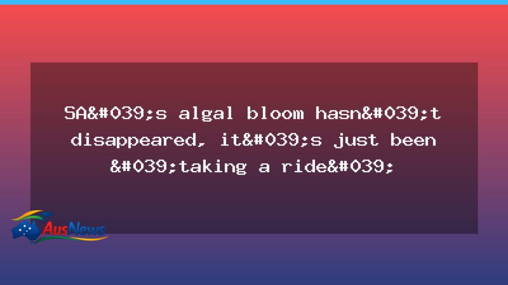 South Australia algal bloom persists on Yorke Peninsula - south australia algal