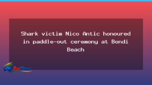 Bondi paddle-out honours Nico Antic after Sydney Harbour shark tragedy - bondi paddle-out honours