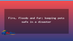 Keeping pets safe in a disaster: fire, floods and fur - keeping pets safe