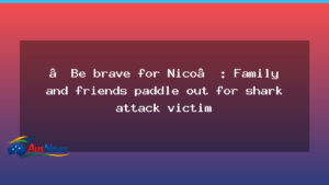 Be brave for Nico: North Bondi paddle-out memorial honours shark-attack victim - brave nico north