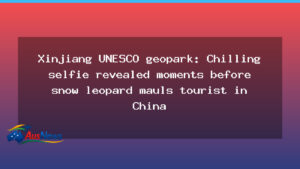 Snow leopard selfie moments before maul at Xinjiang geopark - snow leopard selfie