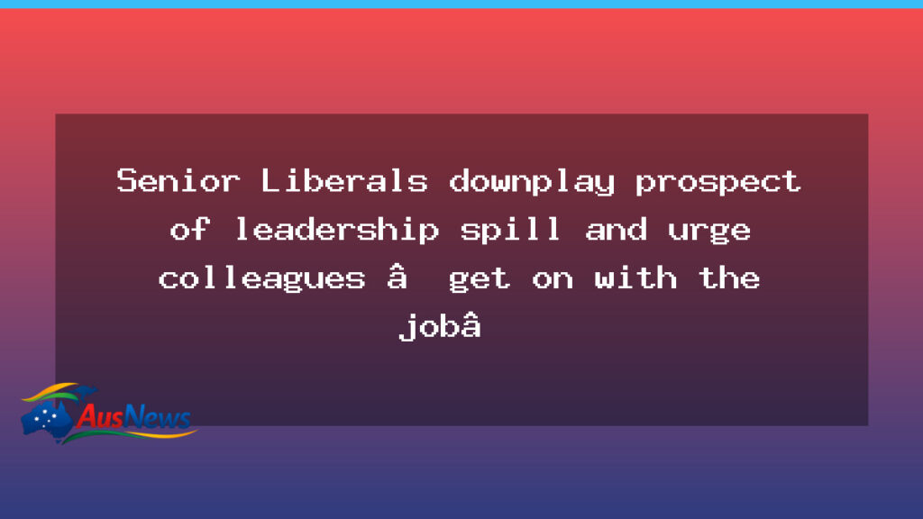 Senior Liberals push back on leadership spill, urge focus on governing - senior liberals push