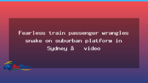 Commuter wrangles a snake on Riverstone platform as CCTV captures the moment - commuter wrangles snake