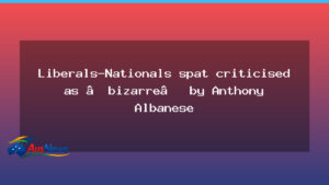 Albanese condemns Liberal-Nationals split as an unusual rift - albanese condemns liberal-nationals