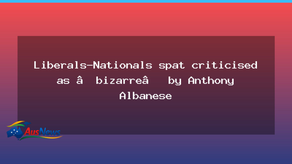 Albanese criticises Liberal-Nationals rift in Coalition - albanese criticises liberal-nationals