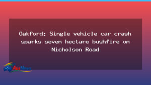 Oakford crash ignites seven-hectare bushfire along Nicholson Road - oakford crash ignites