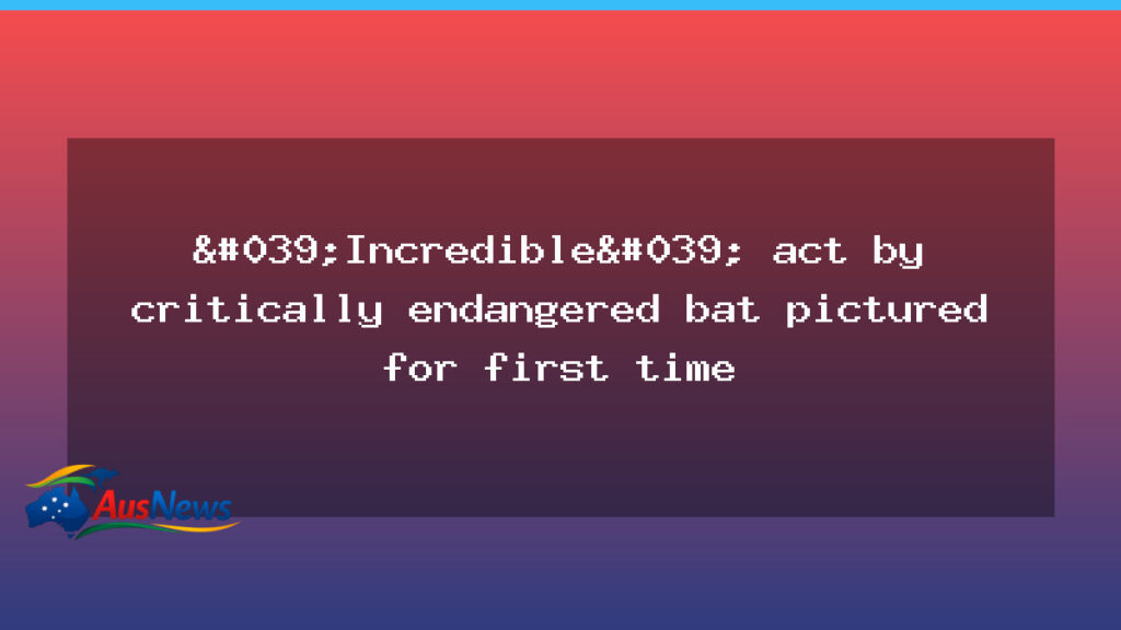 Rare image captures a Christmas Island flying fox ferrying its pup - rare image captures