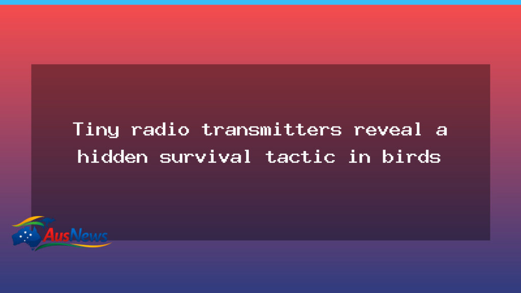 Tiny trackers reveal a hidden survival tactic in Australian swallows - tiny trackers reveal