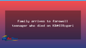 Family travels to Fraser Island to bid farewell to teen who died amid dingo incident - family travels fraser