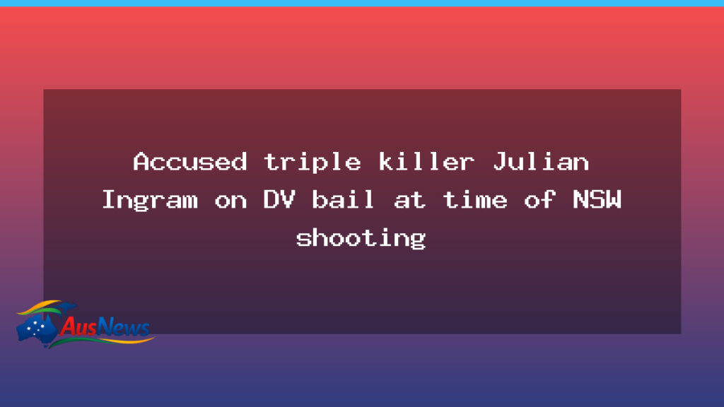 DV bail linked to NSW triple shooting, court documents reveal the accused - bail linked nsw