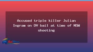 DV bail linked to NSW triple shooting, court documents reveal the accused - bail linked nsw