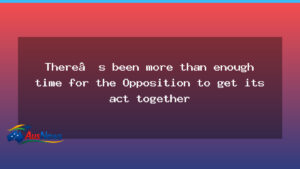 Time to Act: Opposition Under Pressure to Shape a Plan - time act opposition