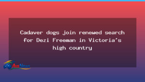 Cadaver dogs deployed again in Victoria’s alpine search for Dezi Freeman - cadaver dogs deployed