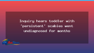 Inquiry hears toddler with persistent scabies undiagnosed for months in Queensland - inquiry hears toddler