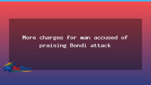 NSW man faces more weapons charges after Bondi praise online - new south wales