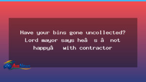 Brisbane bins under scrutiny as contractor criticised - brisbane bins under