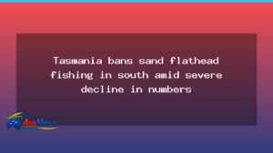 Tasmania shuts southern sand flathead fishery amid sharp decline - tasmania shuts southern