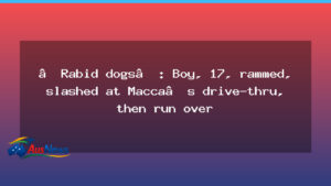 Vehicle rammed and teen slashed at WA McDonald’s drive-through - vehicle rammed teen