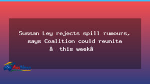 Ley dismisses leadership spill talk as Coalition eyes reunion this week - ley dismisses leadership