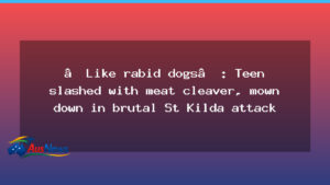 St Kilda attack leaves teen injured in brutal roadside assault - kilda attack leaves