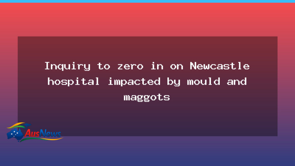 Parliamentary inquiry to examine Calvary Mater Newcastle after mould and maggots discovery - parliamentary inquiry examine