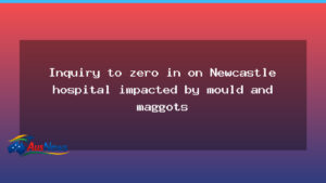 Parliamentary inquiry to examine Calvary Mater Newcastle after mould and maggots discovery - parliamentary inquiry examine