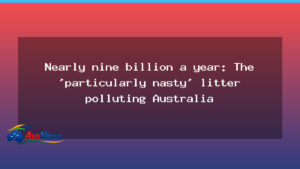 Nearly nine billion litter items a year: Australia’s cigarette butt problem - nearly nine billion