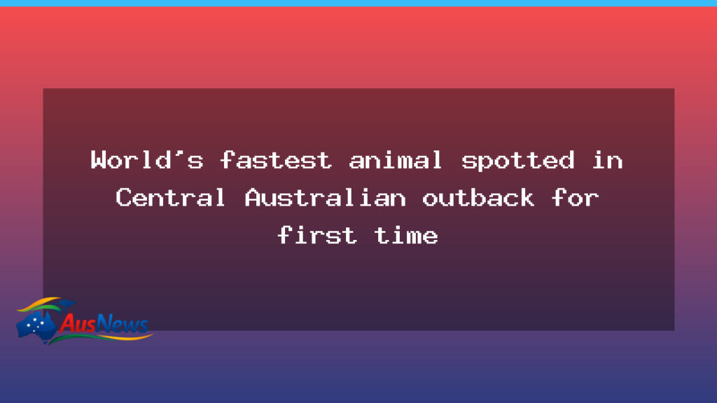 Falcon hailed as world’s fastest bird spotted in Central Australian outback - falcon hailed world