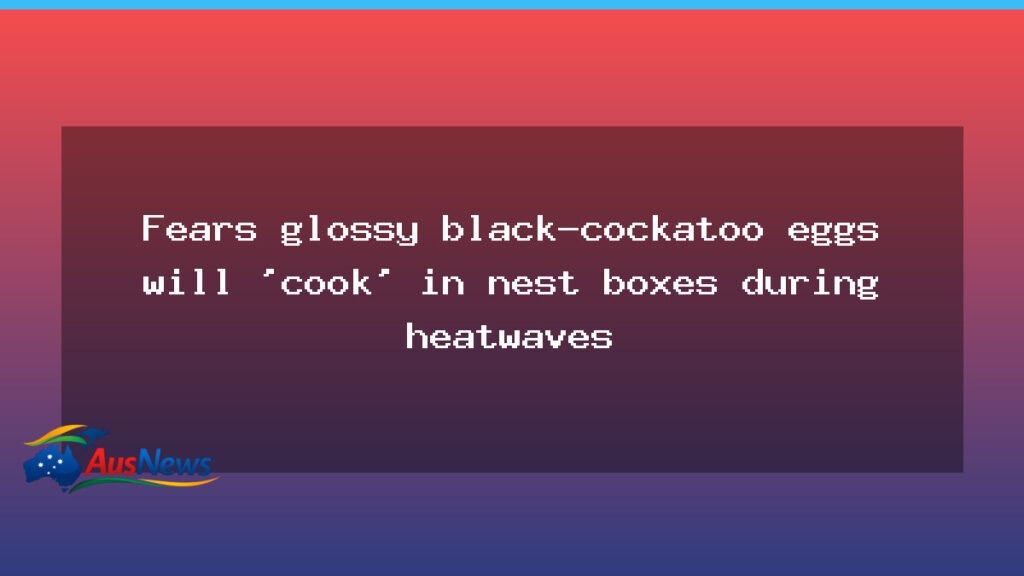 Heatwaves threaten glossy black-cockatoo eggs in SA nest boxes - heatwaves threaten glossy