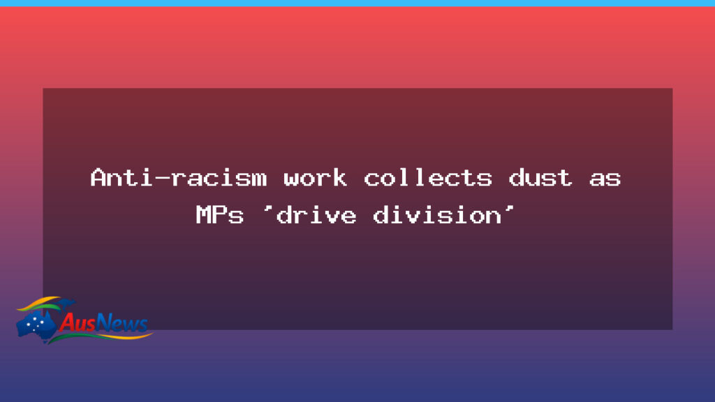 Racism plan sidelined as MPs polarise debate, communities say - racism plan sidelined