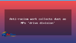 Racism plan sidelined as MPs polarise debate, communities say - racism plan sidelined