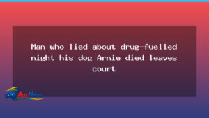 Man who lied about drug-fuelled night linked to Arnie’s death leaves court - man who lied