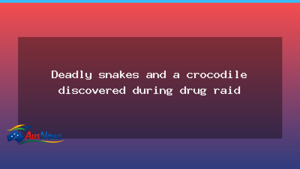 Deadly snakes and a crocodile discovered during drug raid on NSW Mid North Coast - deadly snakes crocodile