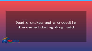 Deadly snakes and a crocodile discovered during drug raid on NSW Mid North Coast - deadly snakes crocodile