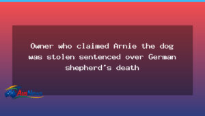 Owner who claimed Arnie was stolen sentenced after German shepherd’s death - owner who claimed