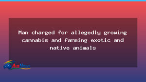 Man charged over cannabis cultivation and exotic animal farming in northern NSW - man charged over