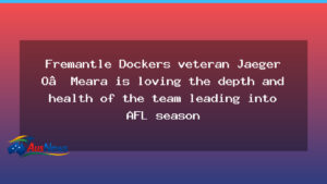 Dockers depth and health set to power AFL season, O’Meara hints - dockers depth health