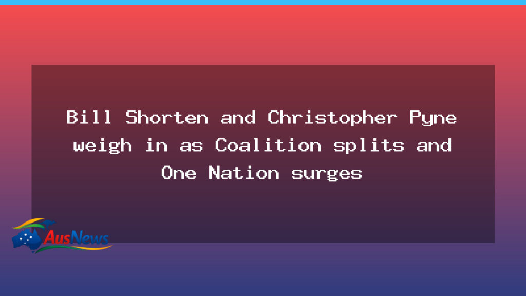Shorten and Pyne weigh in as Coalition fractures widen and One Nation rises - shorten pyne weigh