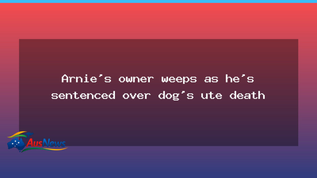 Arnie’s owner tears up in court as he’s sentenced over dog’s ute death - arnie owner tears