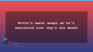 Arnie’s owner tears up in court as he’s sentenced over dog’s ute death - arnie owner tears