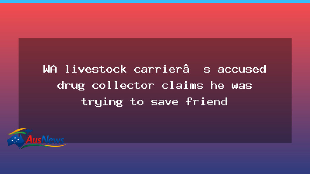 WA drug haul case: Sydney teen says he was trying to save a friend - drug haul case