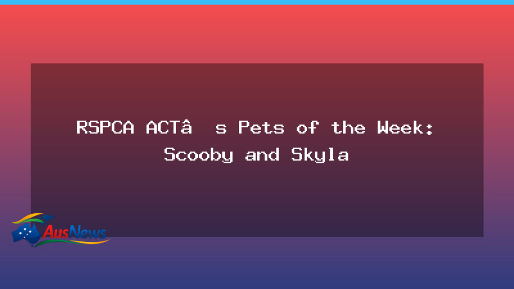 Scooby and Skyla: ACT’s Pets of the Week - scooby skyla act