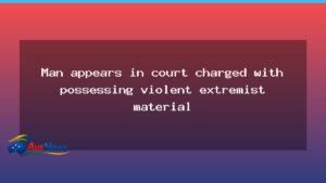 Brisbane man charged over violent extremist material appears in court - brisbane man charged